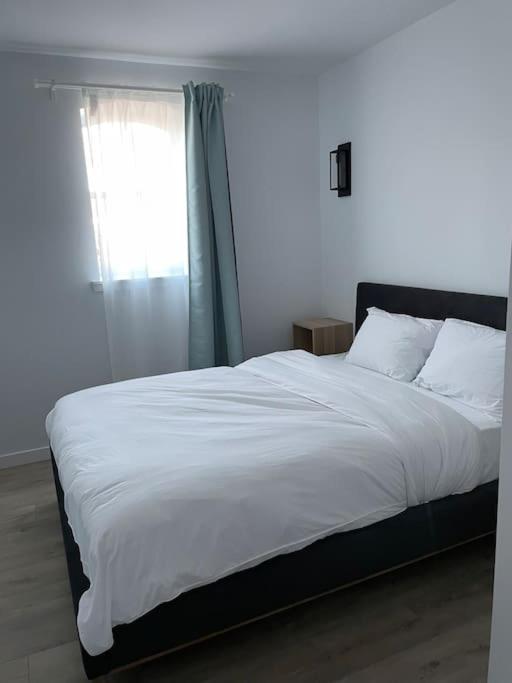871 Shefford Suite 207 3Chambres Bromont Zewnętrze zdjęcie